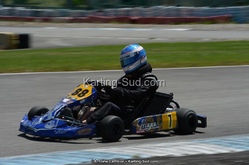 DSC_8517.jpg