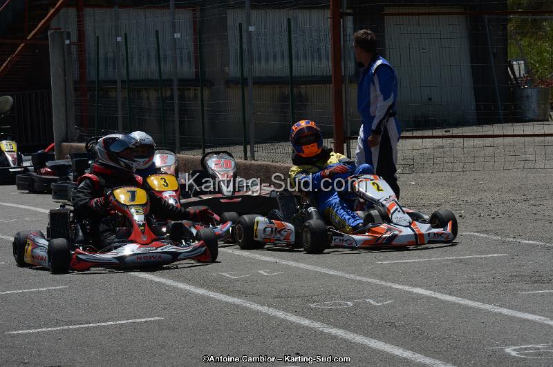 DSC_8523.jpg
