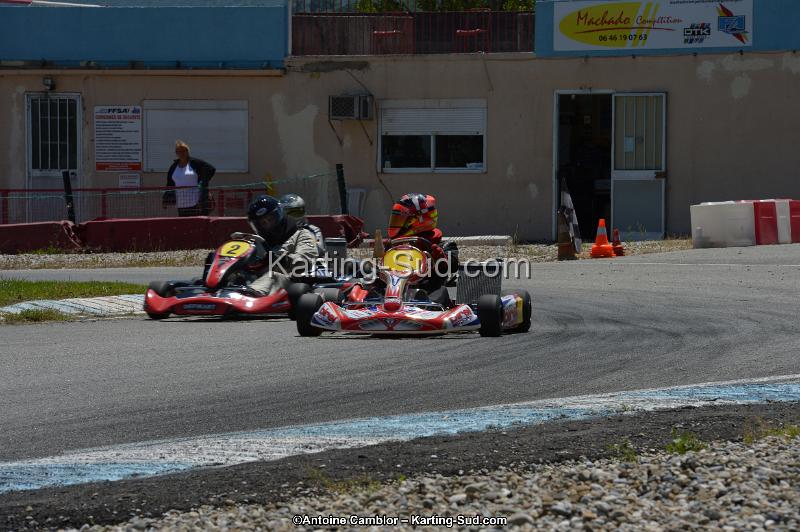 DSC_8533.jpg