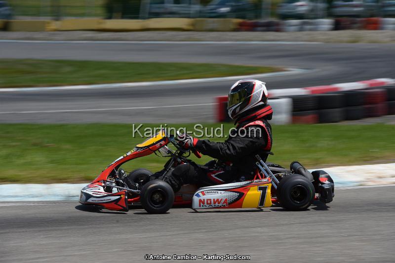 DSC_8545.jpg