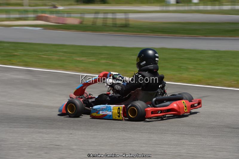DSC_8547.jpg