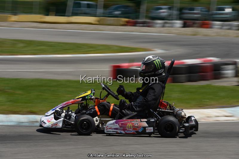 DSC_8549.jpg