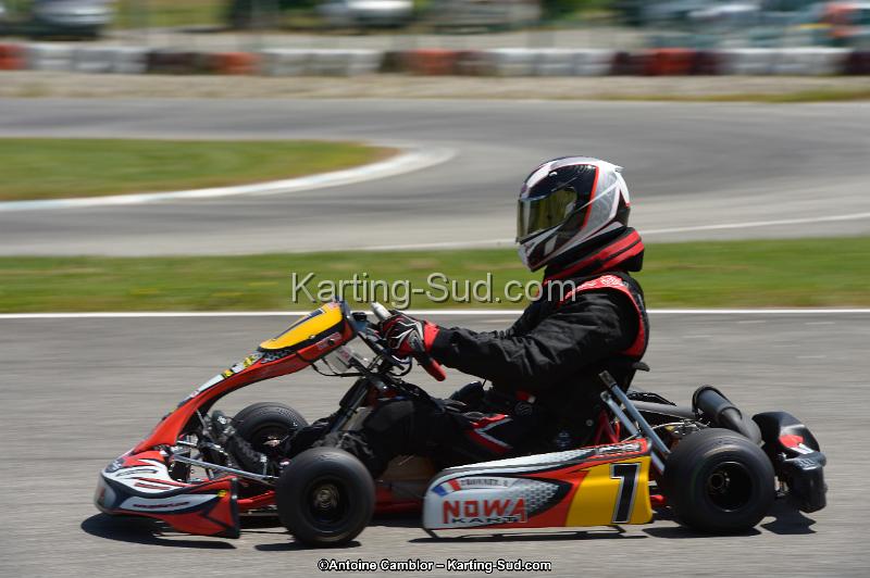 DSC_8550.jpg
