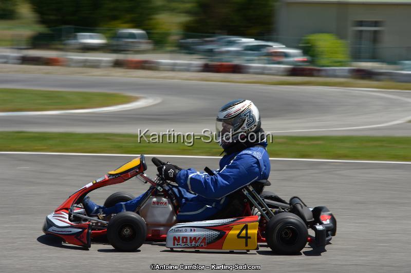 DSC_8555.jpg