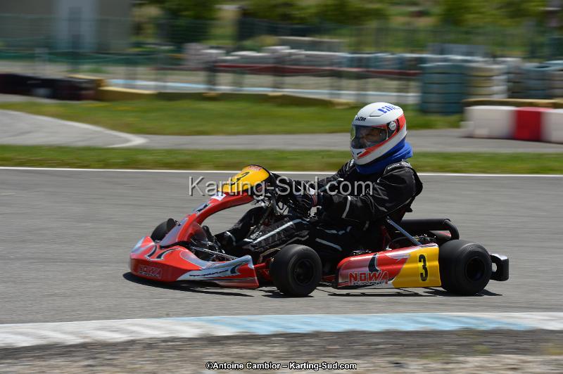 DSC_8559.jpg