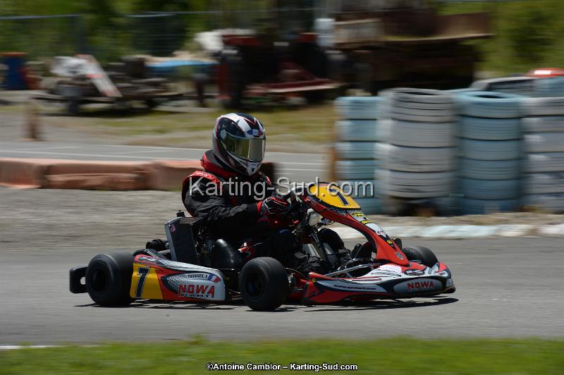 DSC_8564.jpg