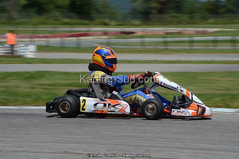 DSC_8572.jpg
