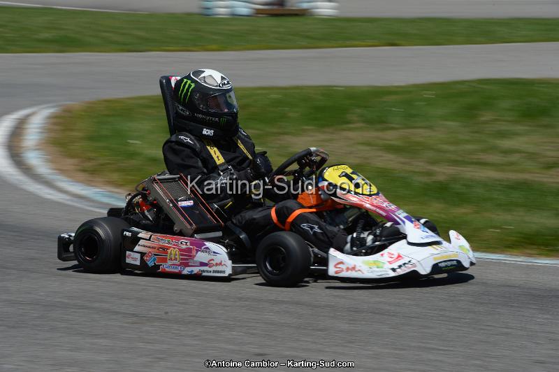 DSC_8587.jpg