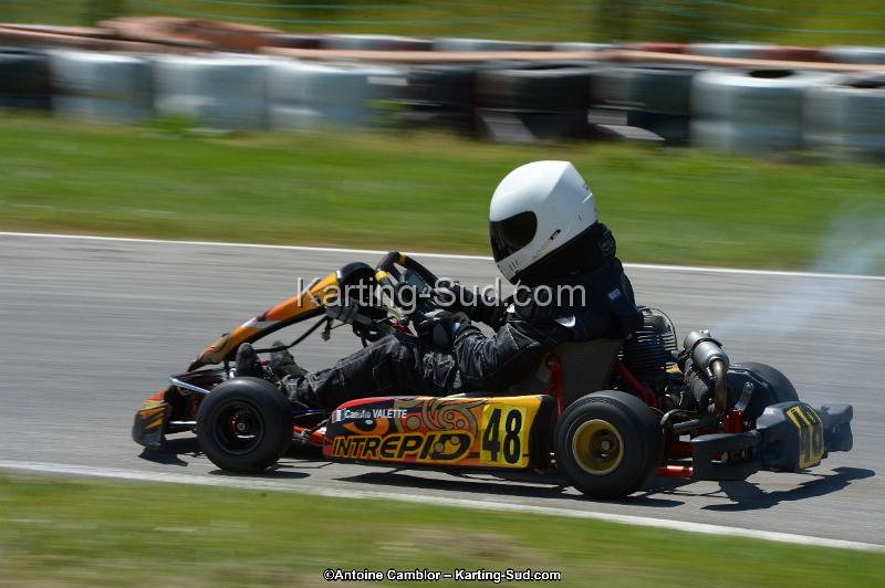 DSC_8609.jpg