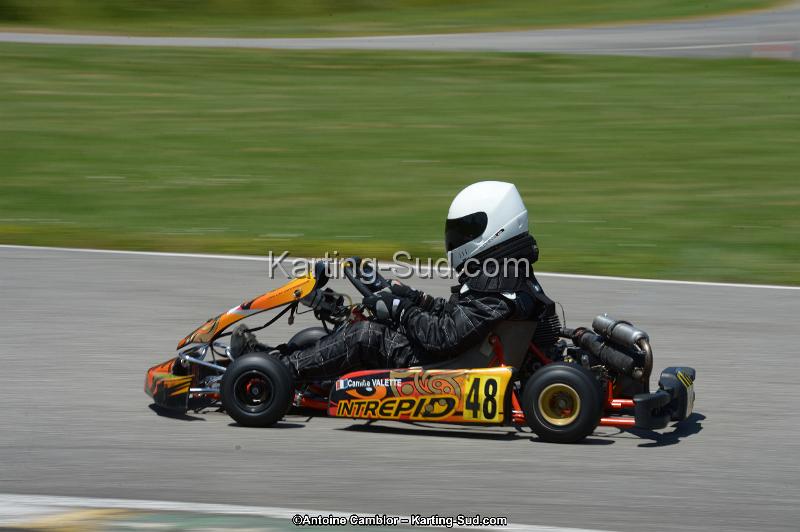 DSC_8611.jpg