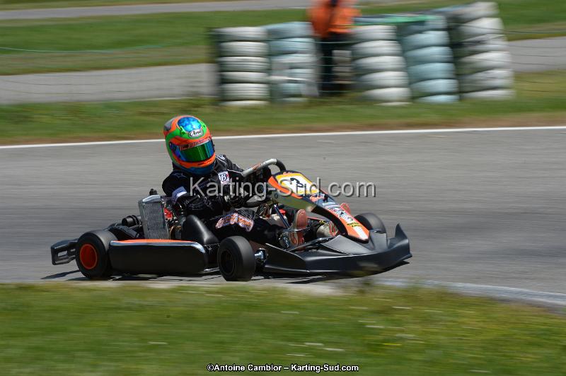 DSC_8617.jpg
