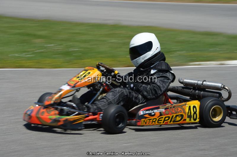 DSC_8623.jpg