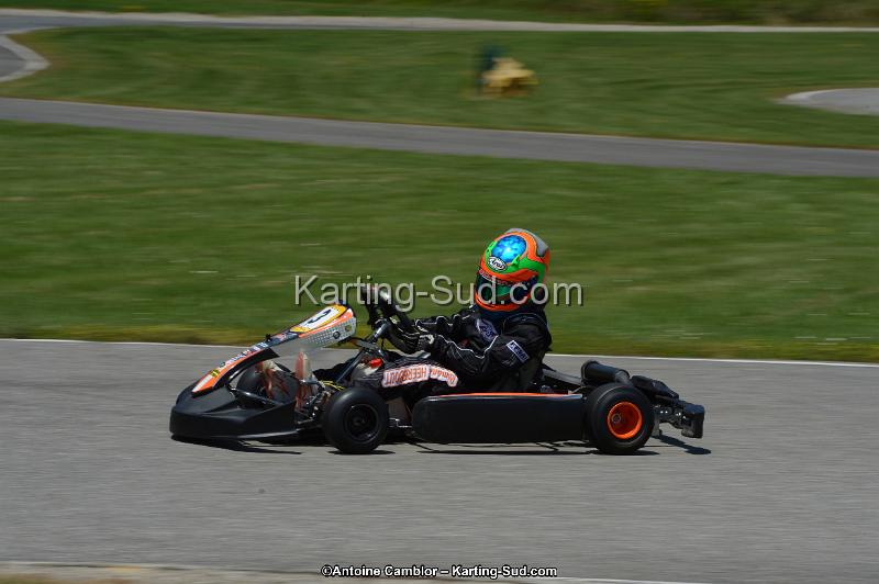 DSC_8631.jpg