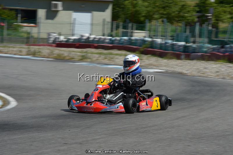 DSC_8938.jpg