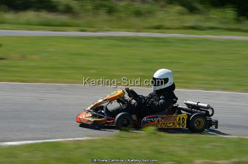 DSC_9044.jpg