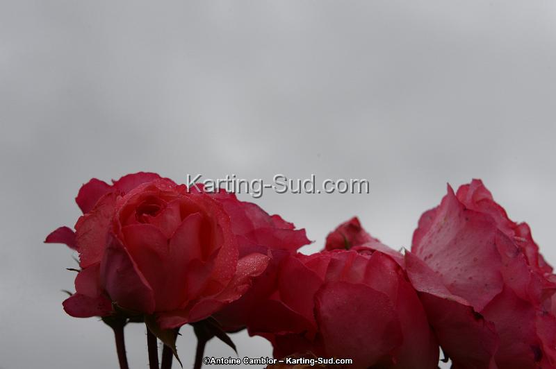 DSC_9206.jpg