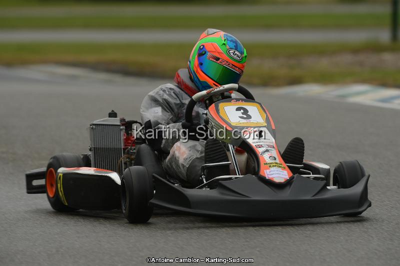 DSC_9539.jpg