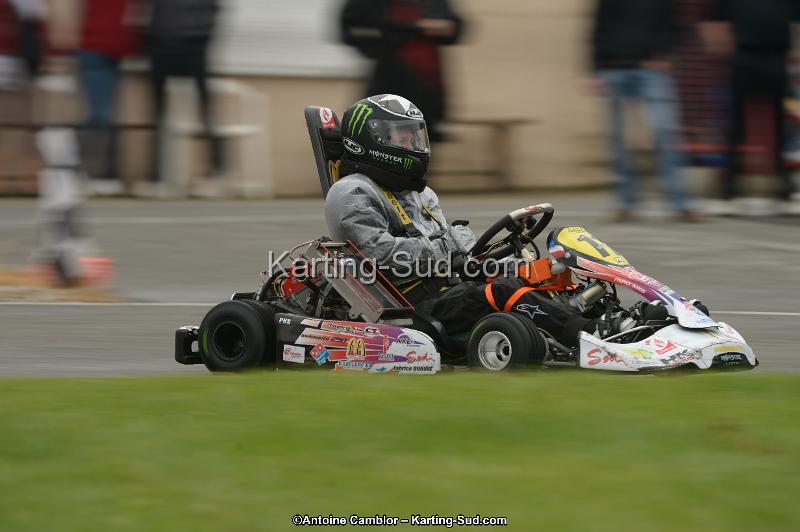 DSC_9558.jpg