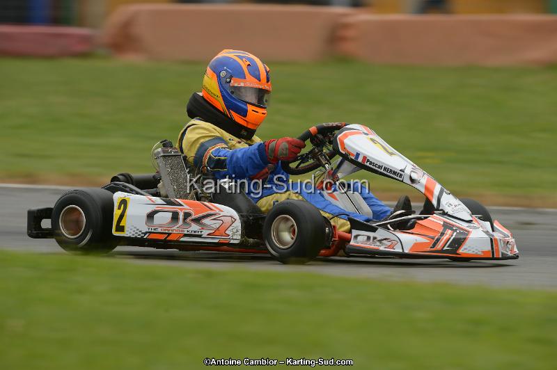 DSC_9563.jpg