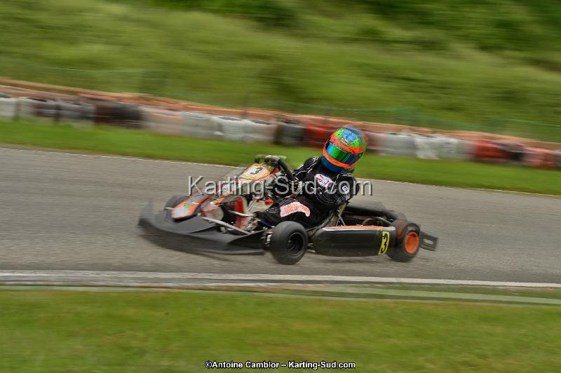 DSC_9785.jpg