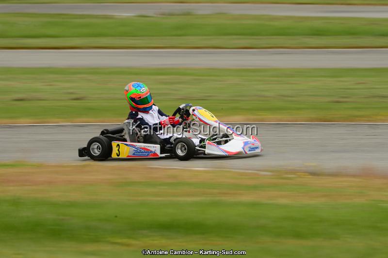 DSC_9915.jpg