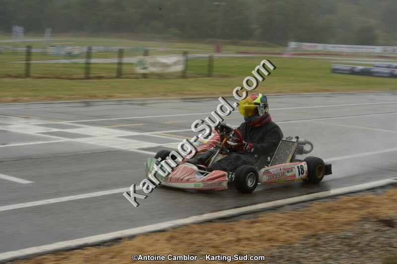 DSC_4336.jpg