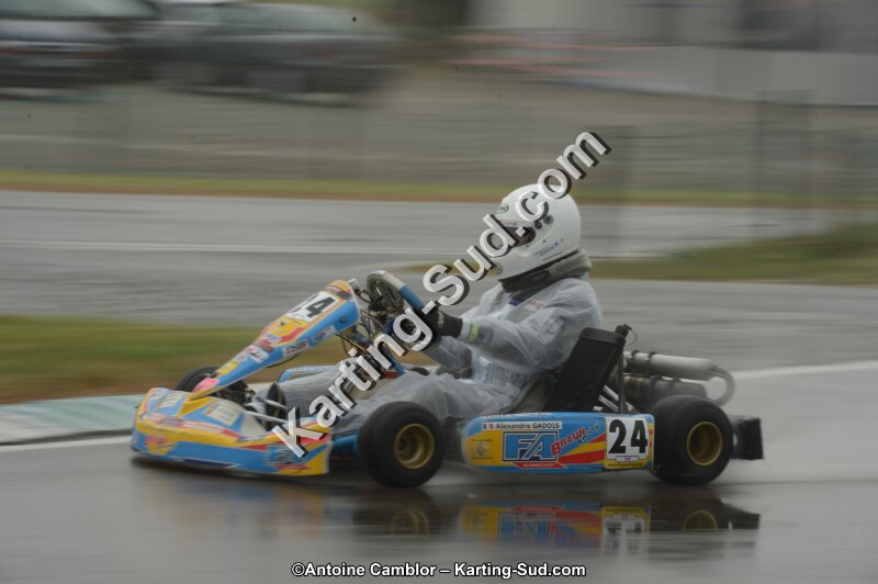 DSC_4412.jpg