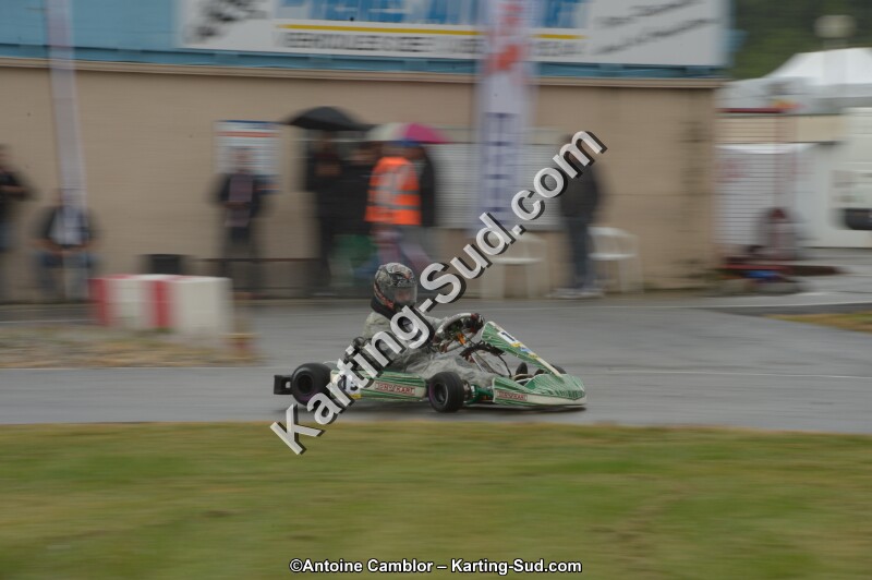DSC_4463.jpg