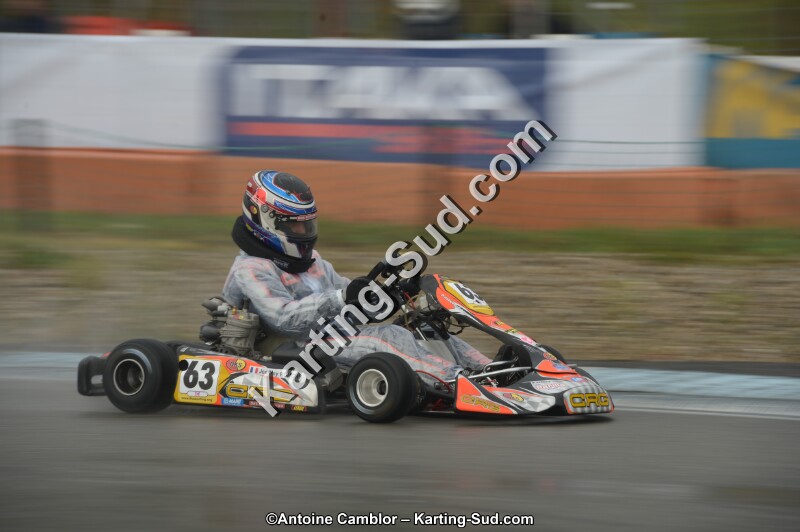 DSC_4537.jpg