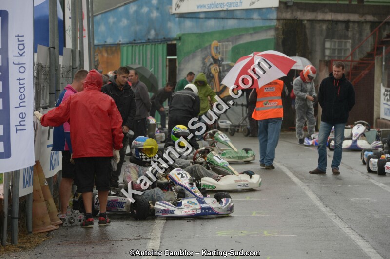 DSC_4597.jpg