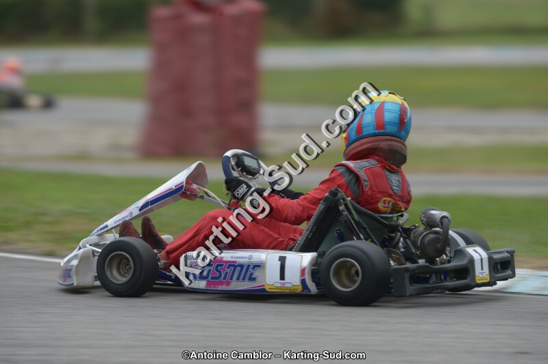 DSC_5519.jpg