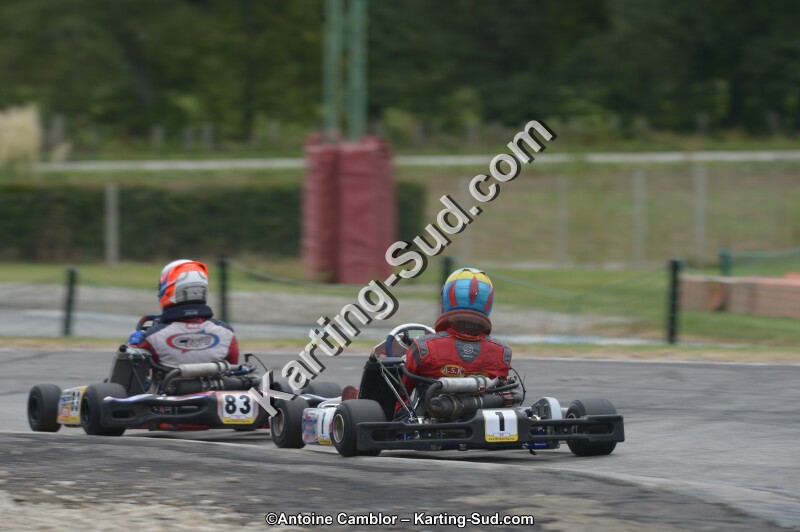 DSC_5529.jpg