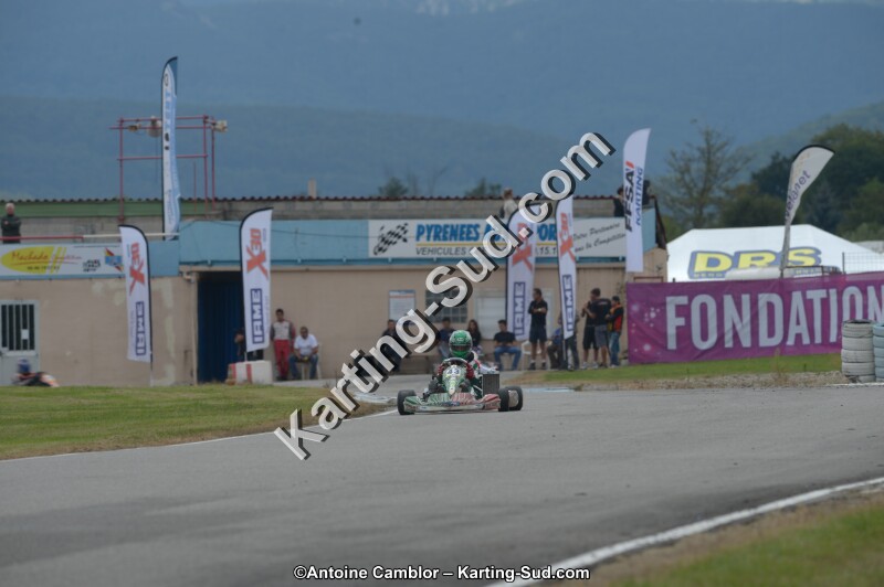 DSC_5556.jpg