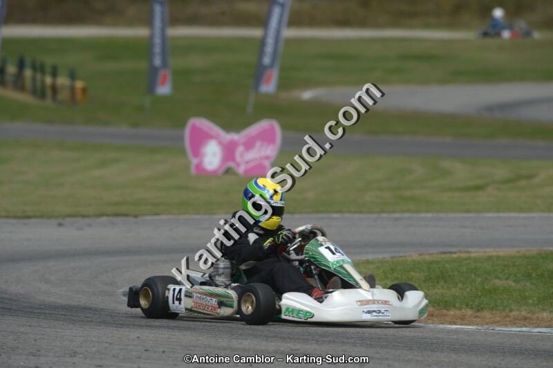 DSC_5647.jpg