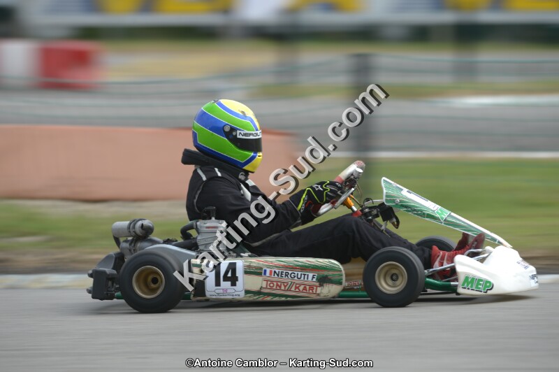 DSC_5667.jpg