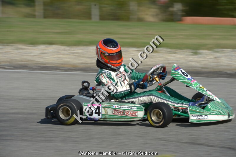 DSC_6033.jpg