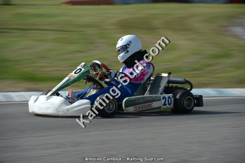 DSC_6131.jpg