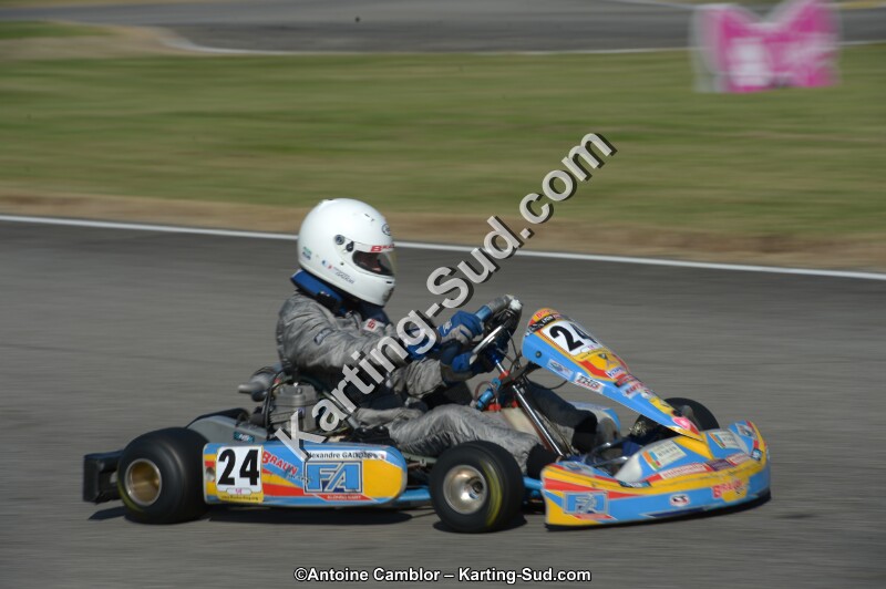 DSC_6144.jpg