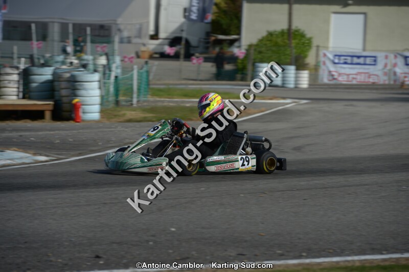 DSC_6195.jpg