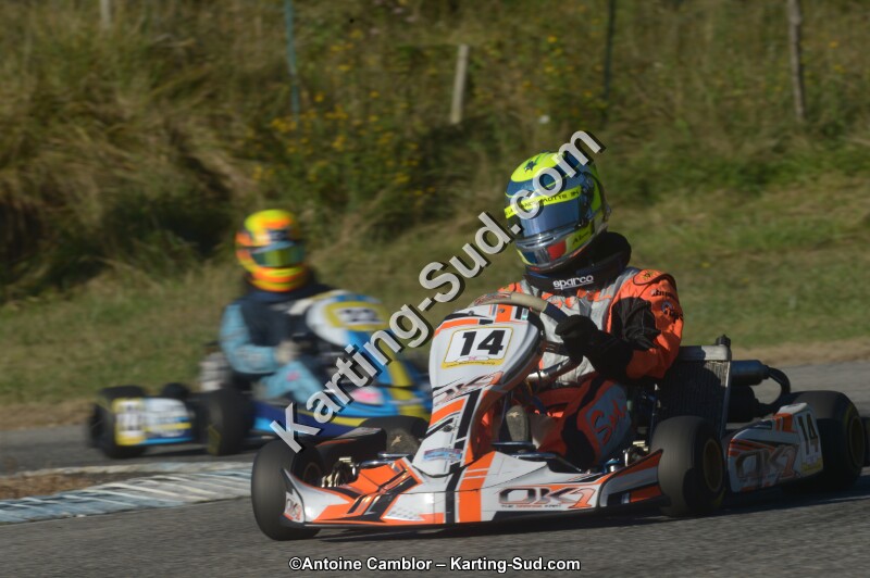DSC_6397.jpg