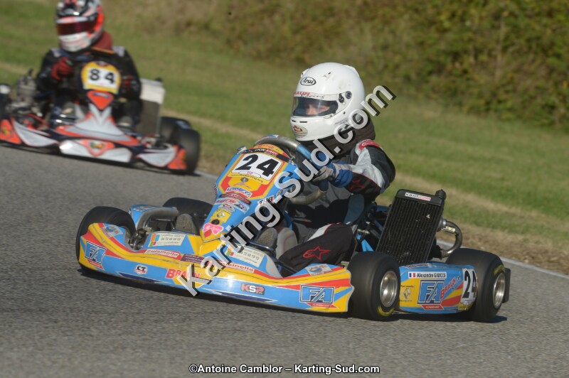 DSC_6464.jpg