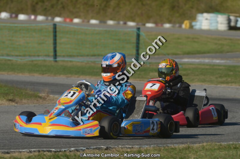 DSC_6556.jpg