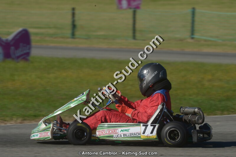 DSC_6586.jpg