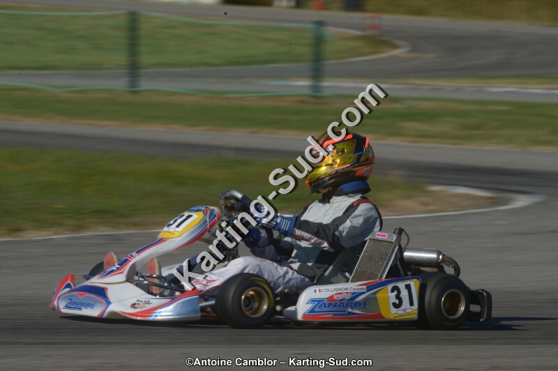 DSC_6645.jpg