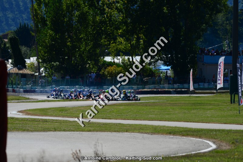 DSC_7221.jpg