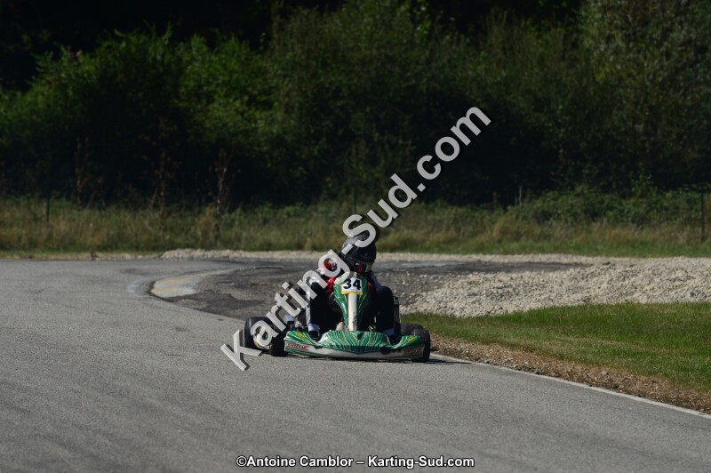 DSC_7233.jpg