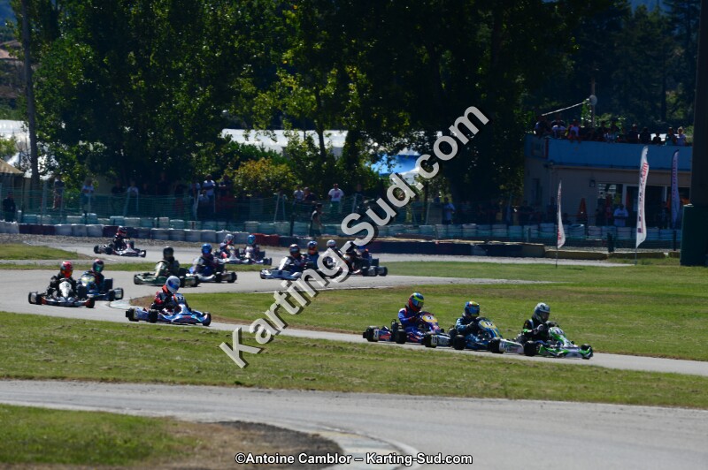 DSC_7234.jpg