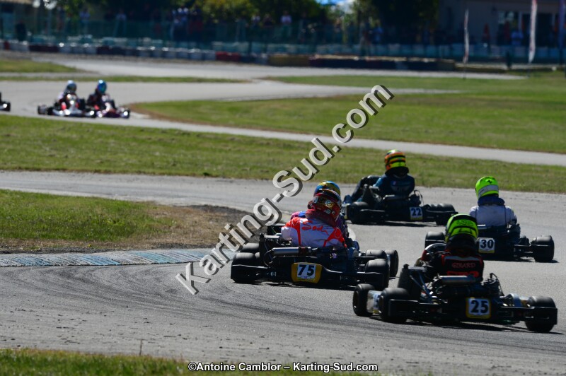 DSC_7235.jpg