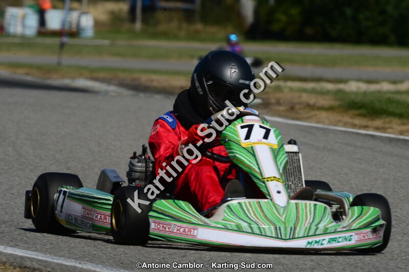 DSC_7781.jpg