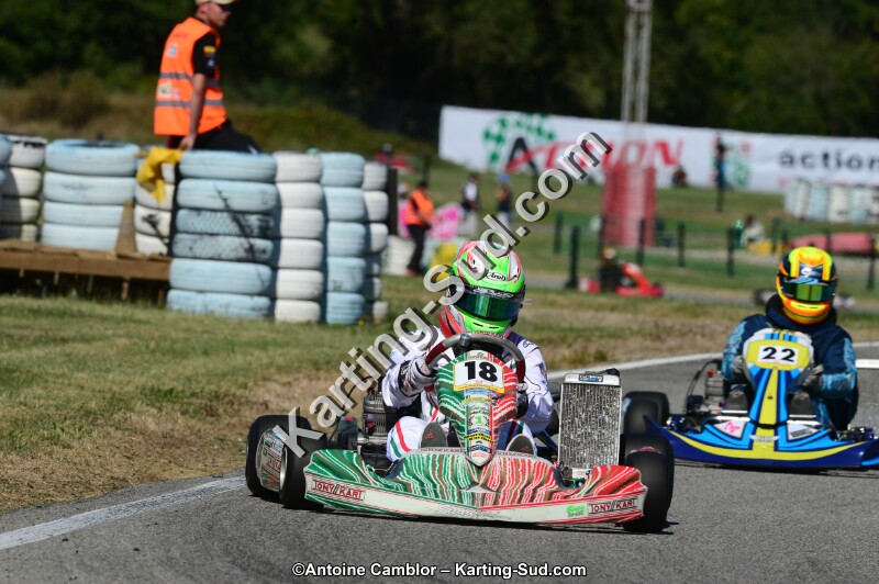 DSC_7803.jpg